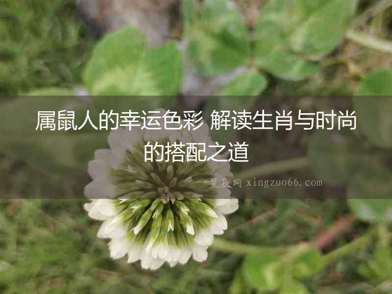 屬鼠人的幸運色彩 解讀生肖與時尚的搭配之道