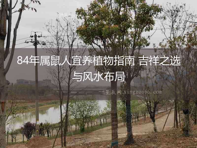 84年屬鼠人宜養(yǎng)植物指南 吉祥之選與風(fēng)水布局