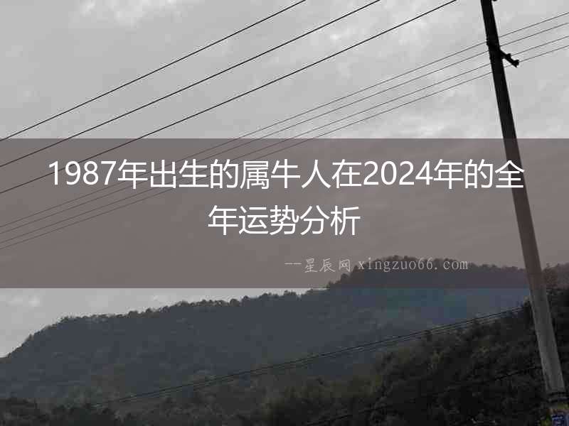 1987年出生的屬牛人在2024年的全年運勢分析
