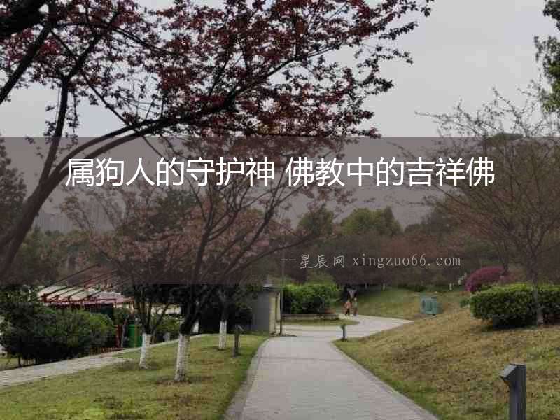 屬狗人的守護神 佛教中的吉祥佛