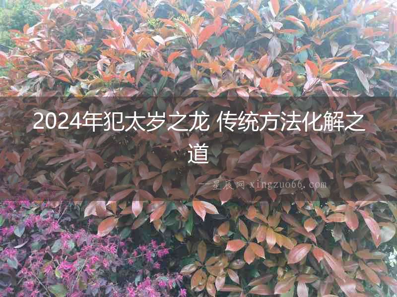 2024年犯太歲之龍 傳統方法化解之道