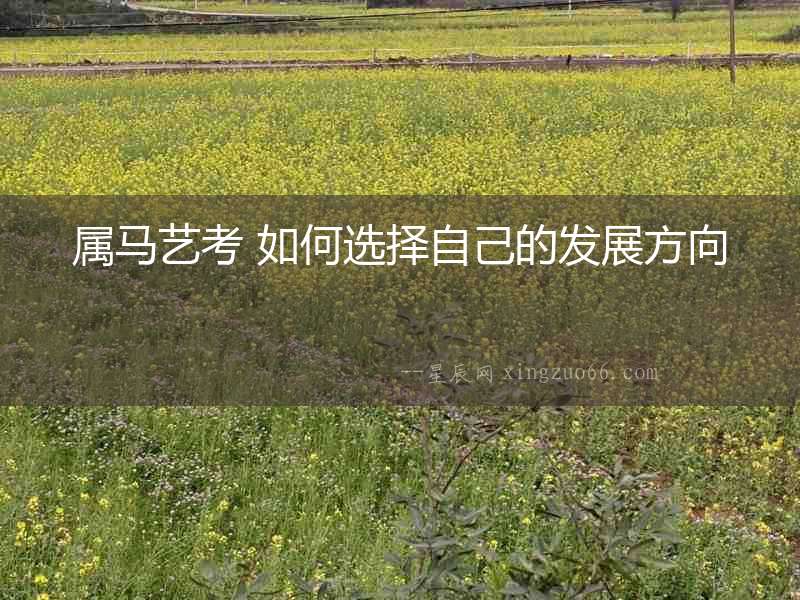 屬馬藝考 如何選擇自己的發(fā)展方向