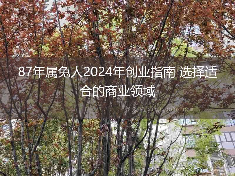 87年屬兔人2024年創(chuàng)業(yè)指南 選擇適合的商業(yè)領(lǐng)域