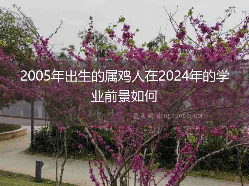 2005年出生的屬雞人在2024年的學業前景如何