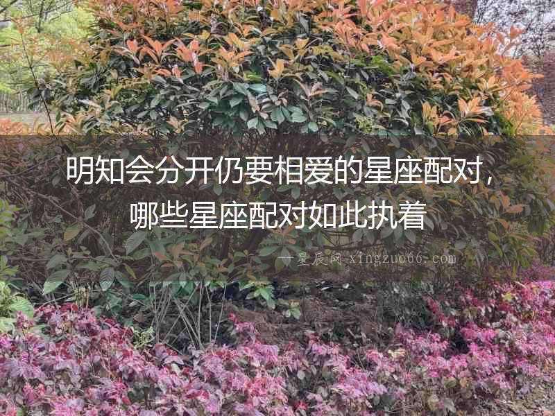 明知會分開仍要相愛的星座配對，哪些星座配對如此執著