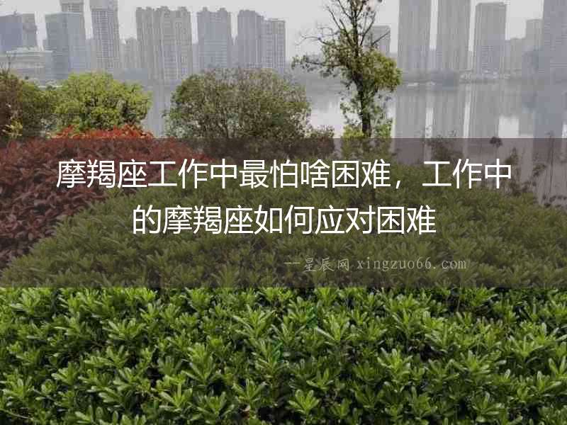摩羯座工作中最怕啥困難，工作中的摩羯座如何應對困難