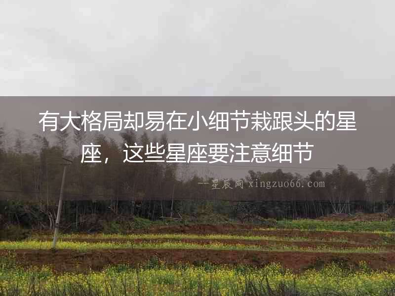 有大格局卻易在小細節栽跟頭的星座，這些星座要注意細節