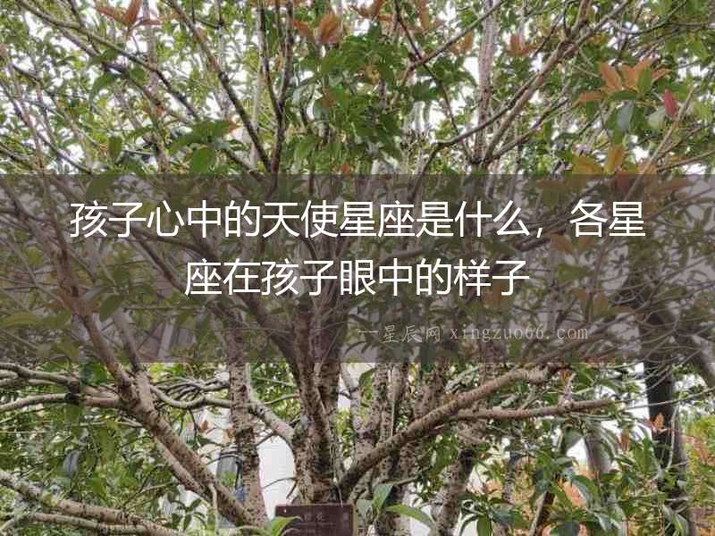 孩子心中的天使星座是什么，各星座在孩子眼中的樣子