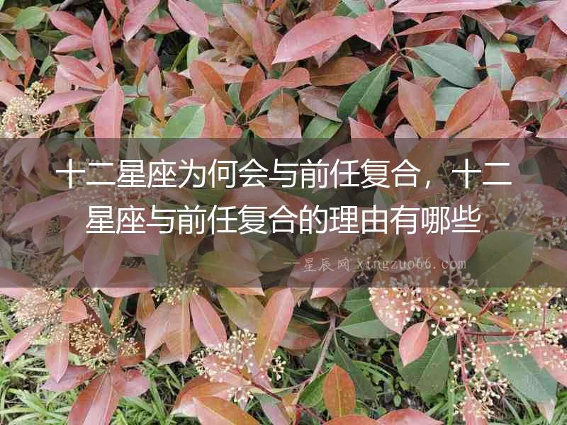十二星座為何會與前任復合，十二星座與前任復合的理由有哪些