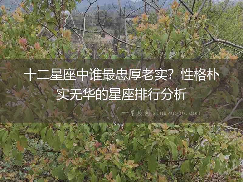 十二星座中誰最忠厚老實？性格樸實無華的星座排行分析