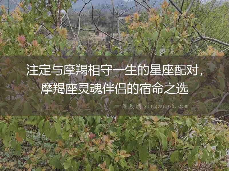 注定與摩羯相守一生的星座配對，摩羯座靈魂伴侶的宿命之選