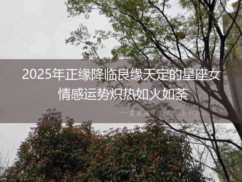 2025年正緣降臨良緣天定的星座女 情感運(yùn)勢熾熱如火如荼