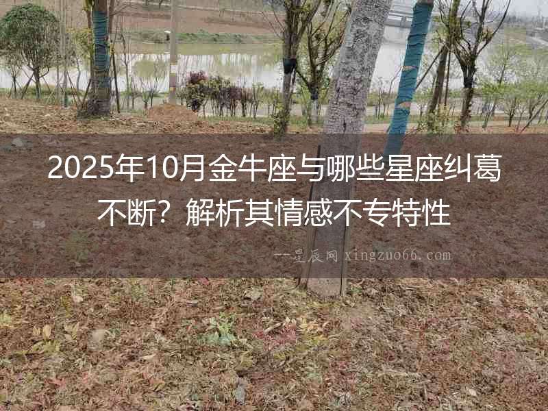 2025年10月金牛座與哪些星座糾葛不斷？解析其情感不專特性