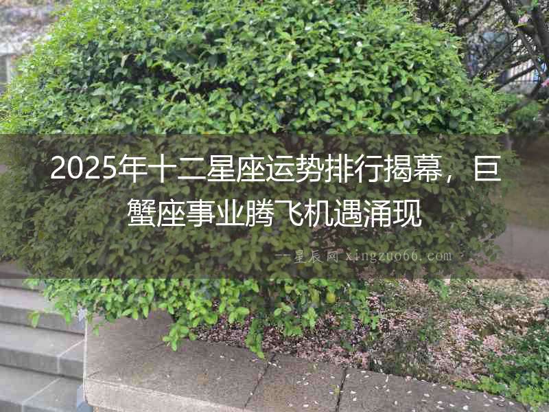2025年十二星座運勢排行揭幕，巨蟹座事業騰飛機遇涌現