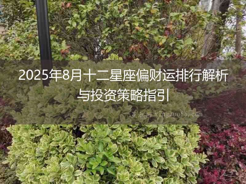 2025年8月十二星座偏財運排行解析與投資策略指引