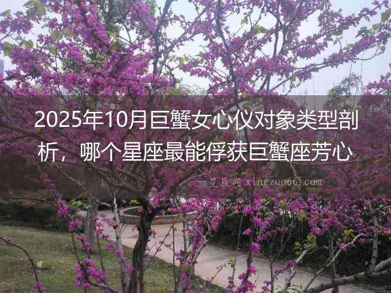 2025年10月巨蟹女心儀對(duì)象類型剖析，哪個(gè)星座最能俘獲巨蟹座芳心
