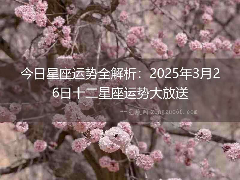 今日星座運勢全解析：2025年3月26日十二星座運勢大放送