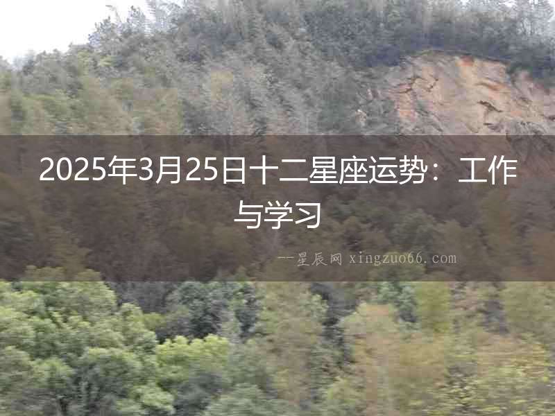 2025年3月25日十二星座運(yùn)勢(shì)：工作與學(xué)習(xí)