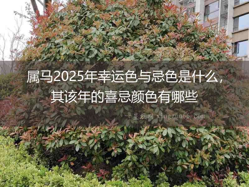 屬馬2025年幸運(yùn)色與忌色是什么，其該年的喜忌顏色有哪些