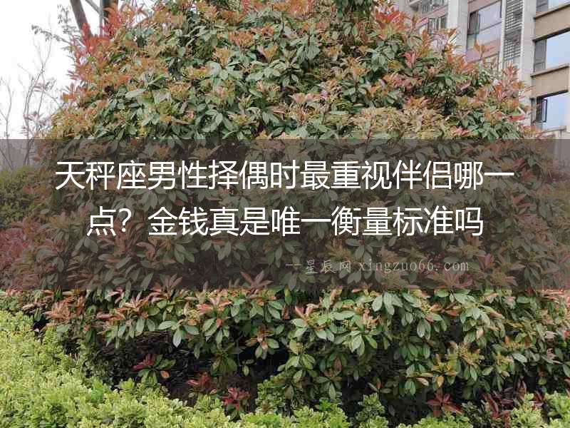 天秤座男性擇偶時最重視伴侶哪一點？金錢真是唯一衡量標準嗎