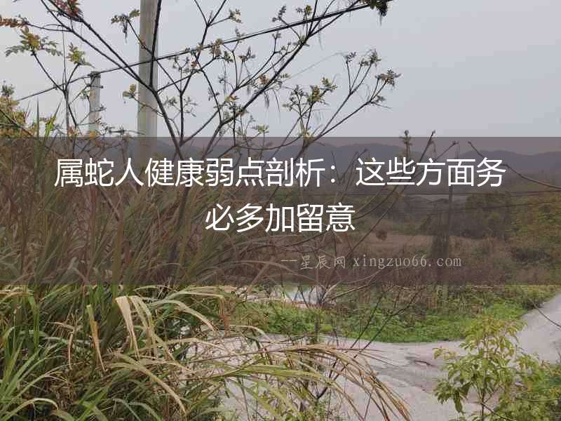 屬蛇人健康弱點剖析：這些方面務(wù)必多加留意