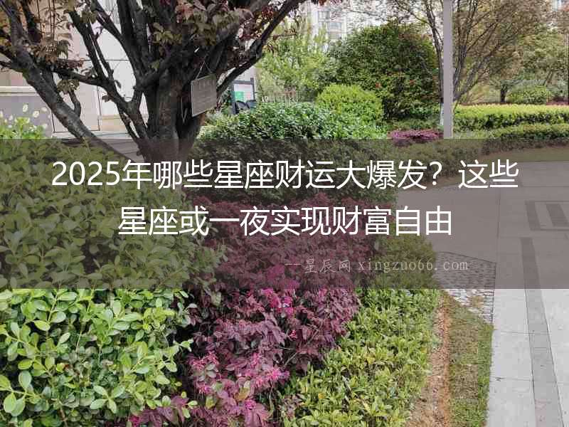 2025年哪些星座財運大爆發？這些星座或一夜實現財富自由