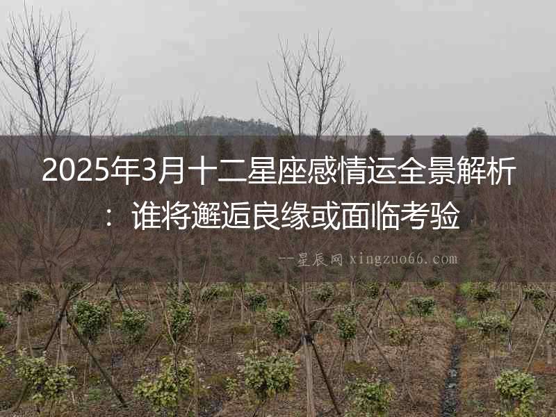 2025年3月十二星座感情運全景解析：誰將邂逅良緣或面臨考驗