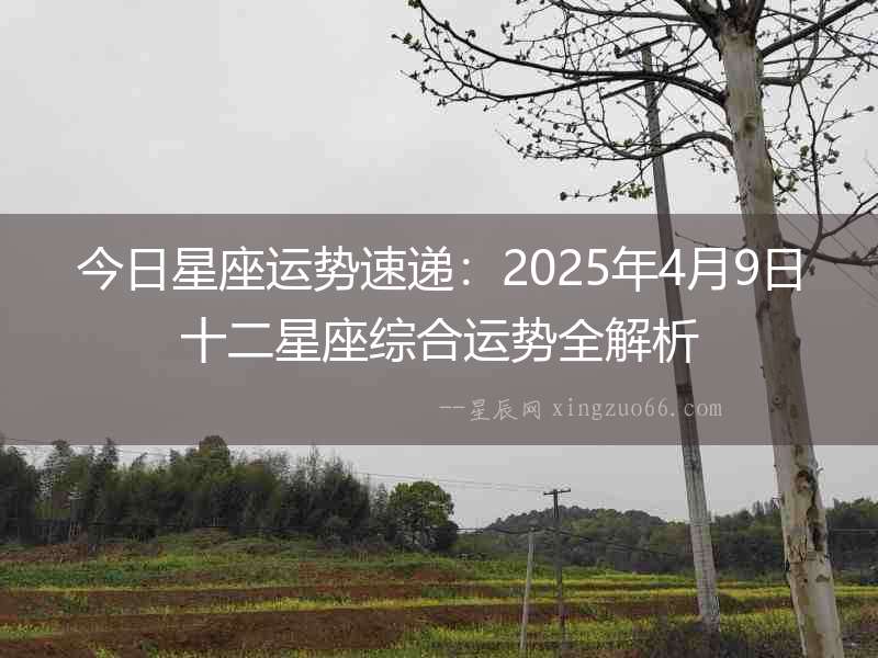 今日星座運勢速遞：2025年4月9日十二星座綜合運勢全解析