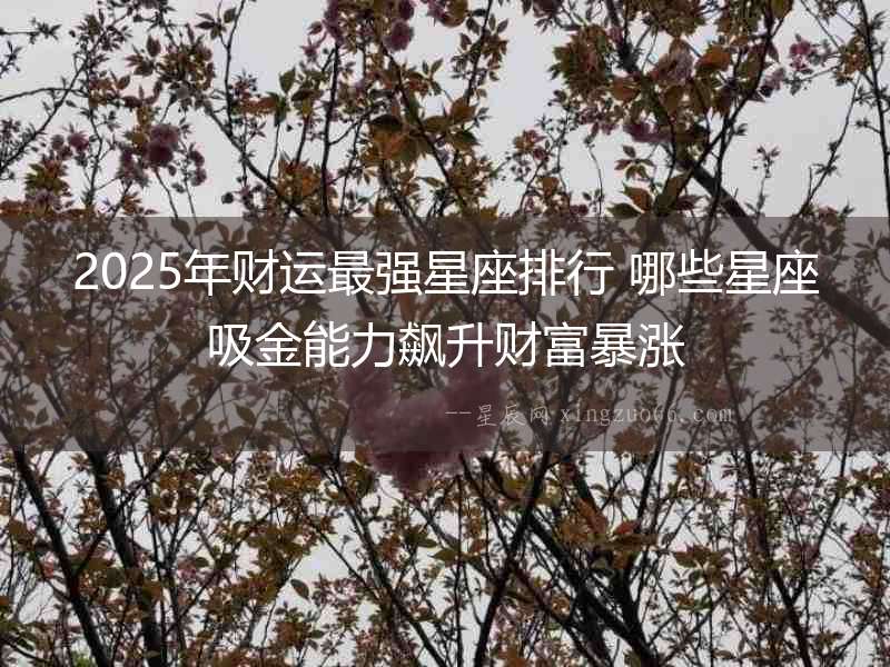 2025年財運最強星座排行 哪些星座吸金能力飆升財富暴漲