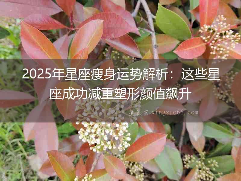 2025年星座瘦身運勢解析：這些星座成功減重塑形顏值飆升