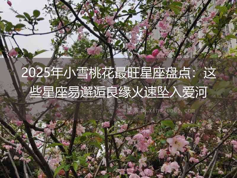 2025年小雪桃花最旺星座盤點：這些星座易邂逅良緣火速墜入愛河