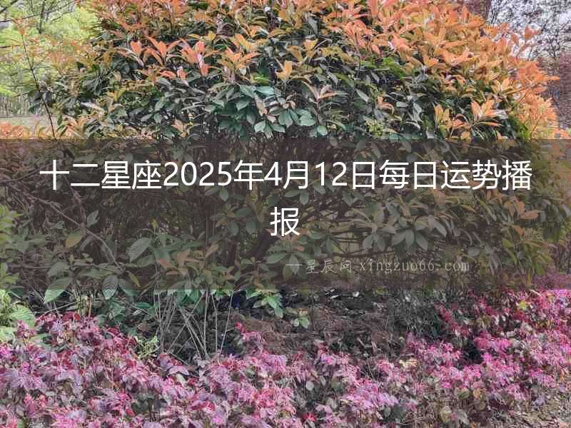 十二星座2025年4月12日每日運勢播報