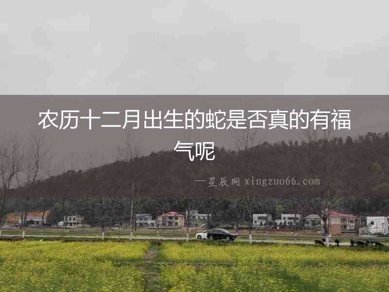 農歷十二月出生的蛇是否真的有福氣呢