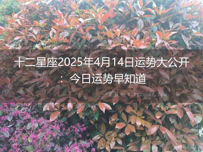十二星座2025年4月14日運勢大公開：今日運勢早知道