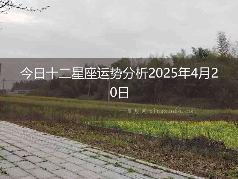 今日十二星座運勢分析2025年4月20日