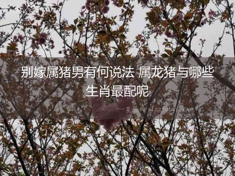 別嫁屬豬男有何說法 屬龍豬與哪些生肖最配呢