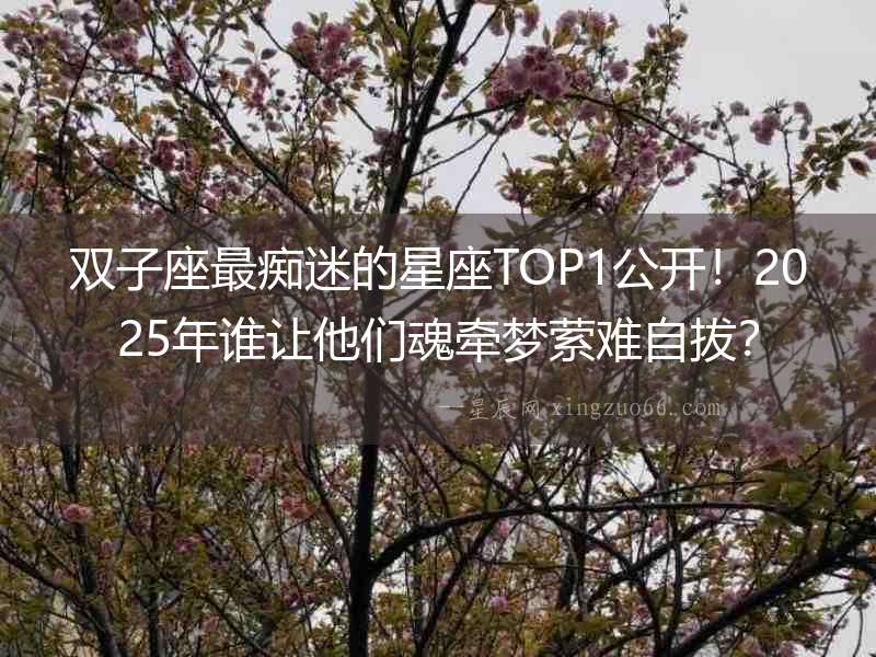 雙子座最癡迷的星座TOP1公開！2025年誰讓他們魂牽夢縈難自拔？