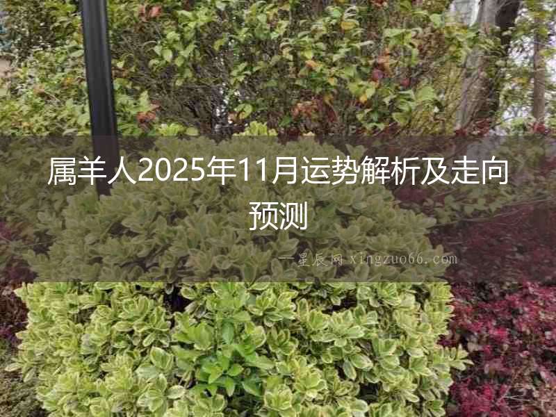 屬羊人2025年11月運勢解析及走向預測