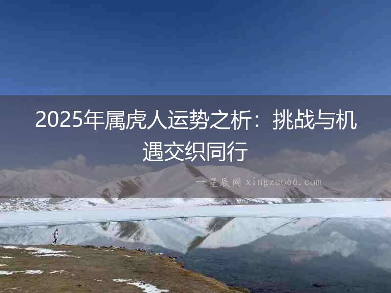 2025年屬虎人運勢之析：挑戰與機遇交織同行
