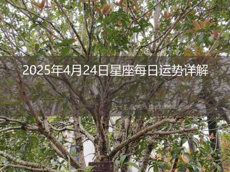 2025年4月24日星座每日運勢詳解
