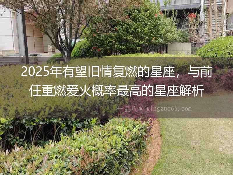 2025年有望舊情復燃的星座，與前任重燃愛火概率最高的星座解析