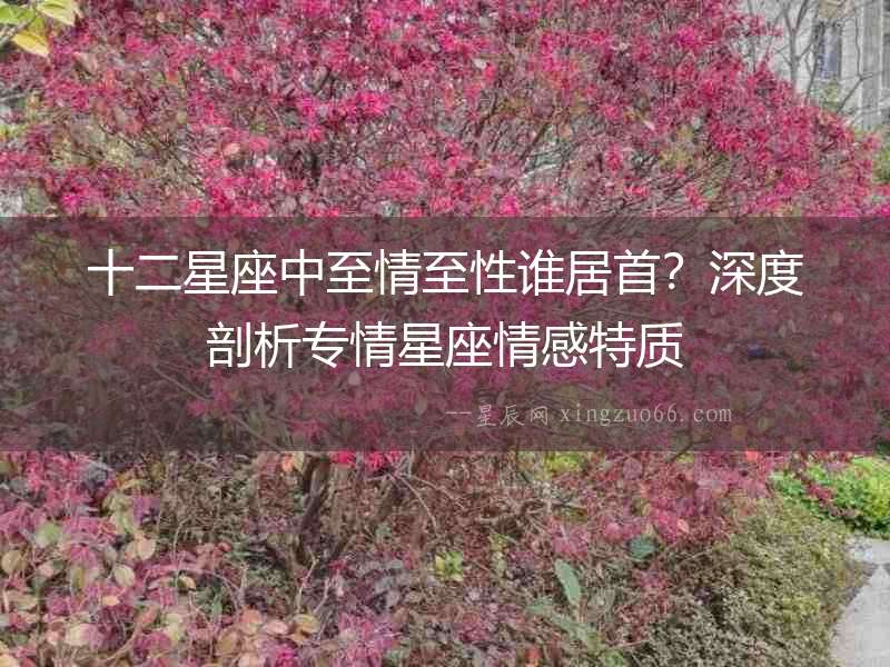 十二星座中至情至性誰居首？深度剖析專情星座情感特質