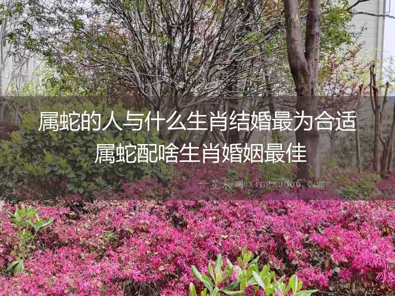 屬蛇的人與什么生肖結(jié)婚最為合適 屬蛇配啥生肖婚姻最佳