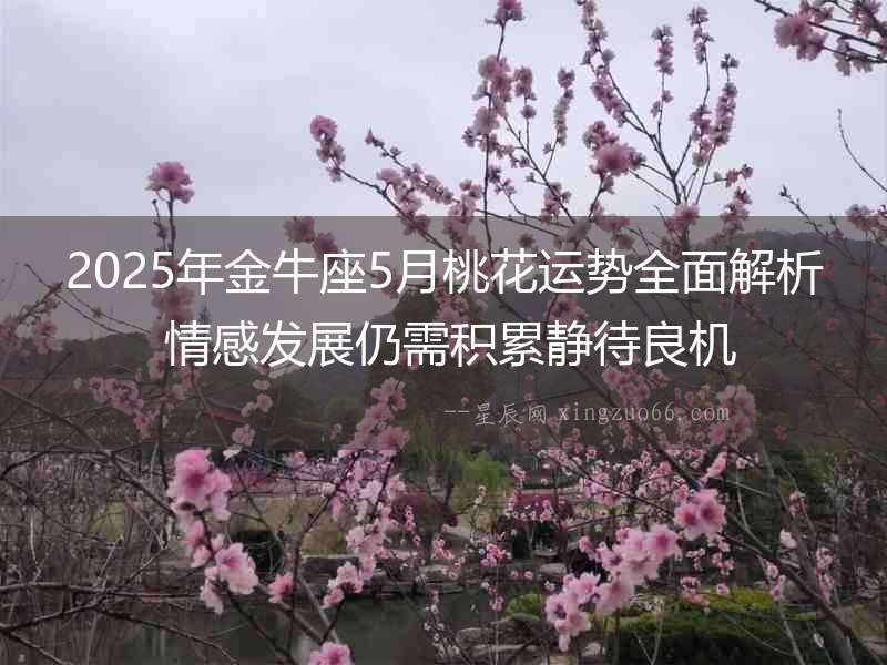 2025年金牛座5月桃花運(yùn)勢(shì)全面解析 情感發(fā)展仍需積累靜待良機(jī)