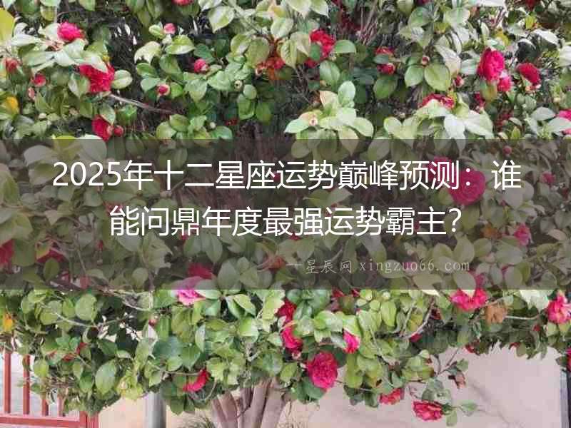 2025年十二星座運勢巔峰預測：誰能問鼎年度最強運勢霸主？