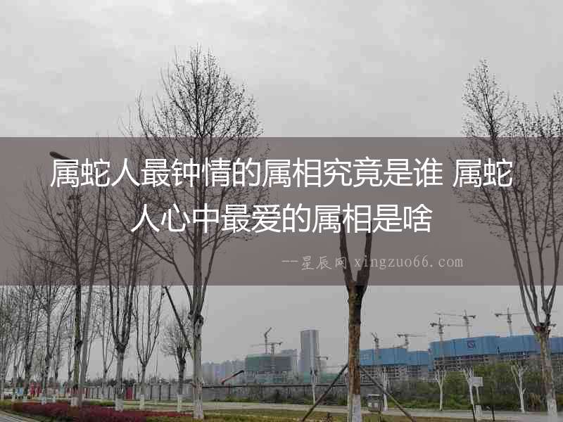 屬蛇人最鐘情的屬相究竟是誰 屬蛇人心中最愛的屬相是啥