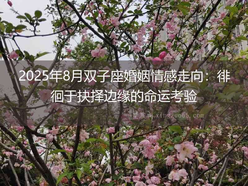 2025年8月雙子座婚姻情感走向：徘徊于抉擇邊緣的命運(yùn)考驗(yàn)