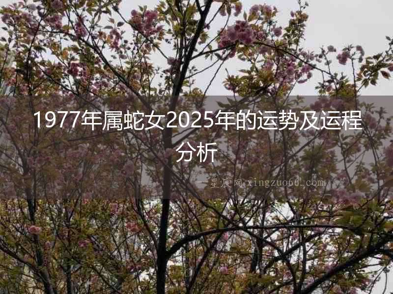 1977年屬蛇女2025年的運勢及運程分析