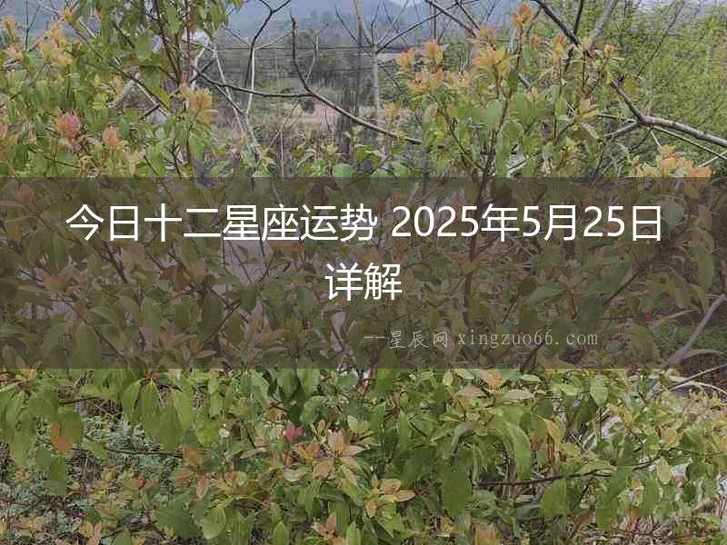 今日十二星座運(yùn)勢(shì) 2025年5月25日詳解