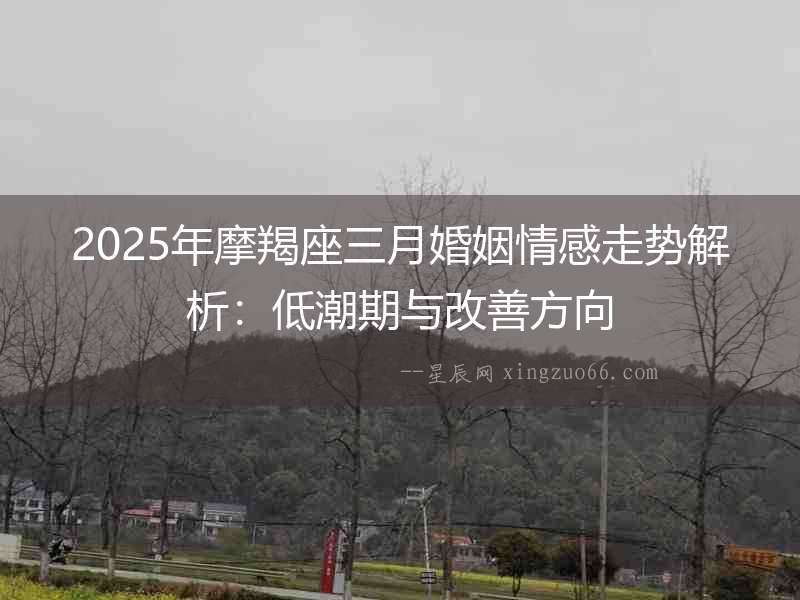 2025年摩羯座三月婚姻情感走勢(shì)解析：低潮期與改善方向
